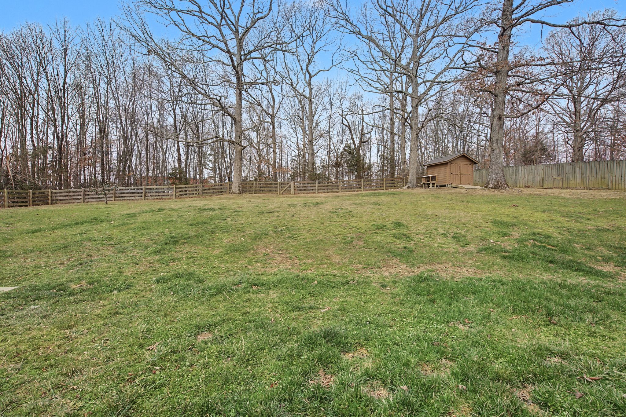 7331 McCormick Drive Fairview, TN 37062 - Photo 40 of 46 a fire hydrant in the middle of a field