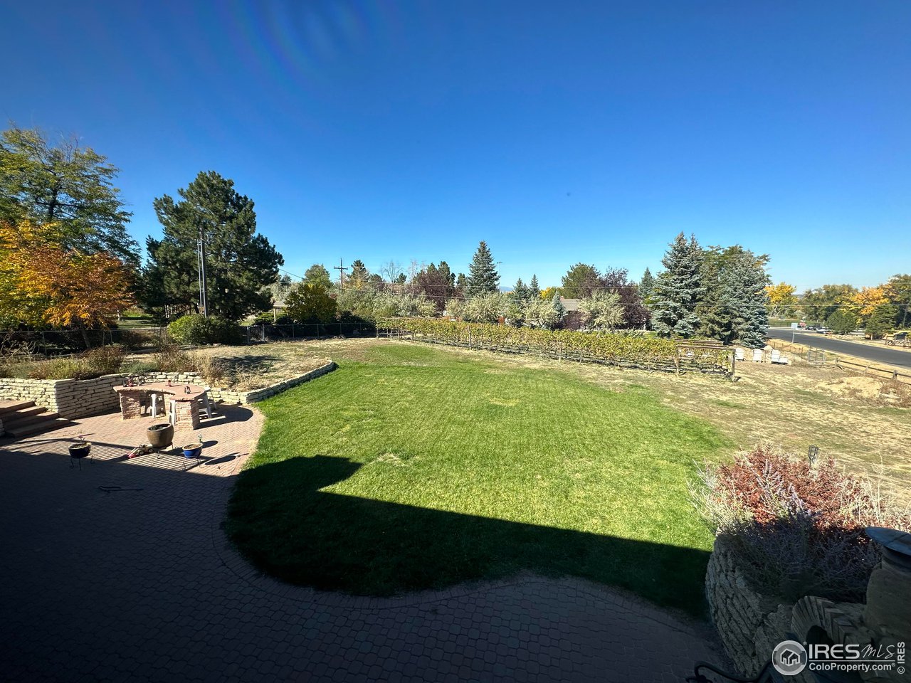 9057 Morton Road Niwot, CO 80503 - Photo 23 of 31 another view of your large yard and vineyard