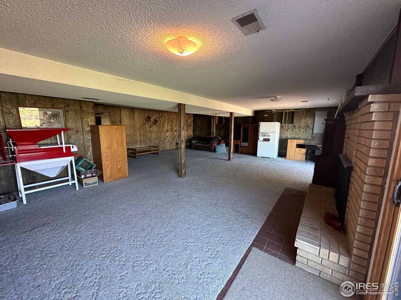 9057 Morton Road Niwot, CO 80503 - Photo 24 of 31 walkout basement with wood-burning fireplace