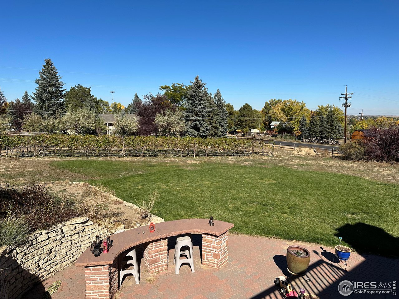 9057 Morton Road Niwot, CO 80503 - Photo 9 of 31 view from back porch looking towards your own private vineyard