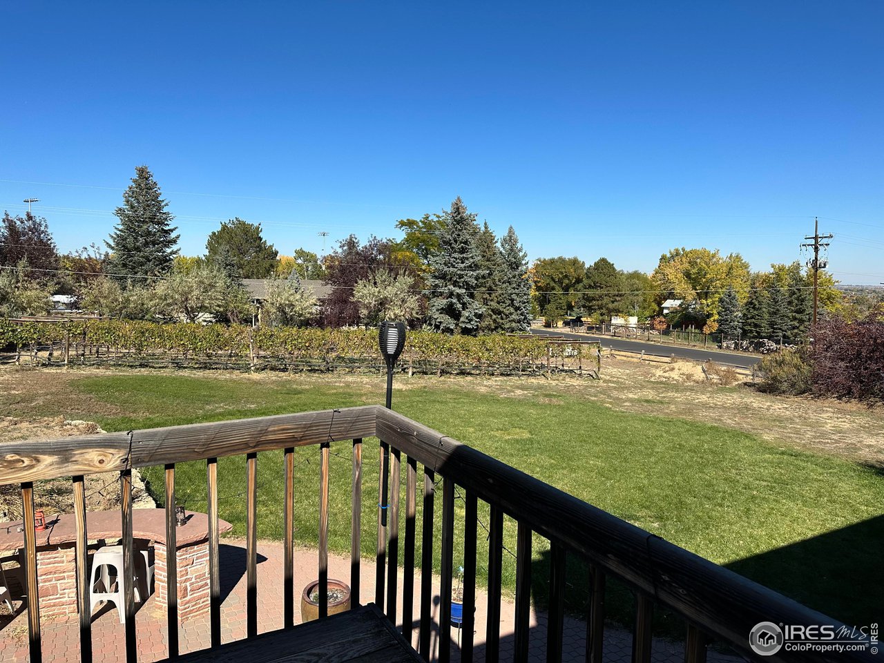 9057 Morton Road Niwot, CO 80503 - Photo 10 of 31 vineyard and expansive back yard