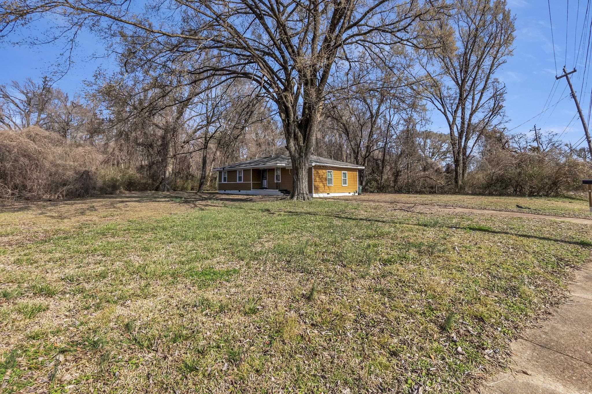 2196 Ketchum Road Memphis, TN 38114 - Photo 3 of 20 a view of a yard with a house and large trees