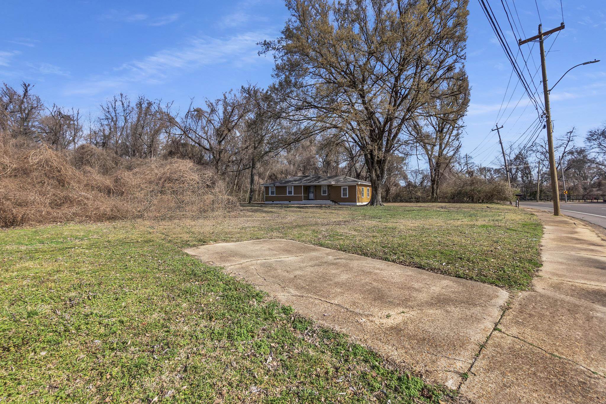 2196 Ketchum Road Memphis, TN 38114 - Photo 5 of 20 a view of a yard with trees in the background