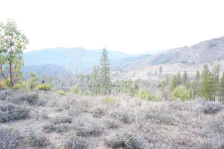 221 Rocker Road Weaverville, CA 96093 - Photo 5 of 9