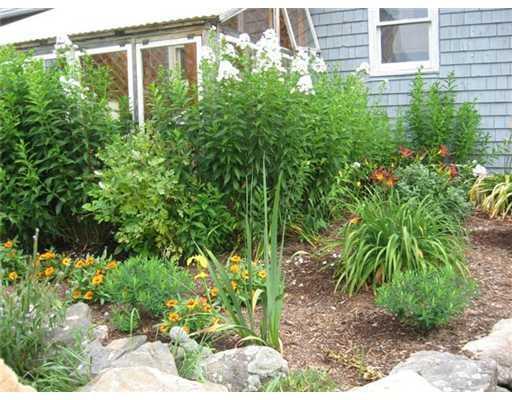 358 Stevenstown Road Litchfield, ME 04350 - Photo 20 of 22 Yard/Garden.