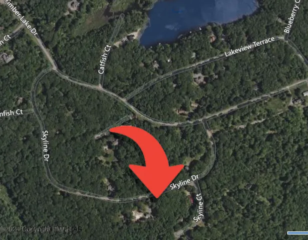 a view of a forest with a house and a forest