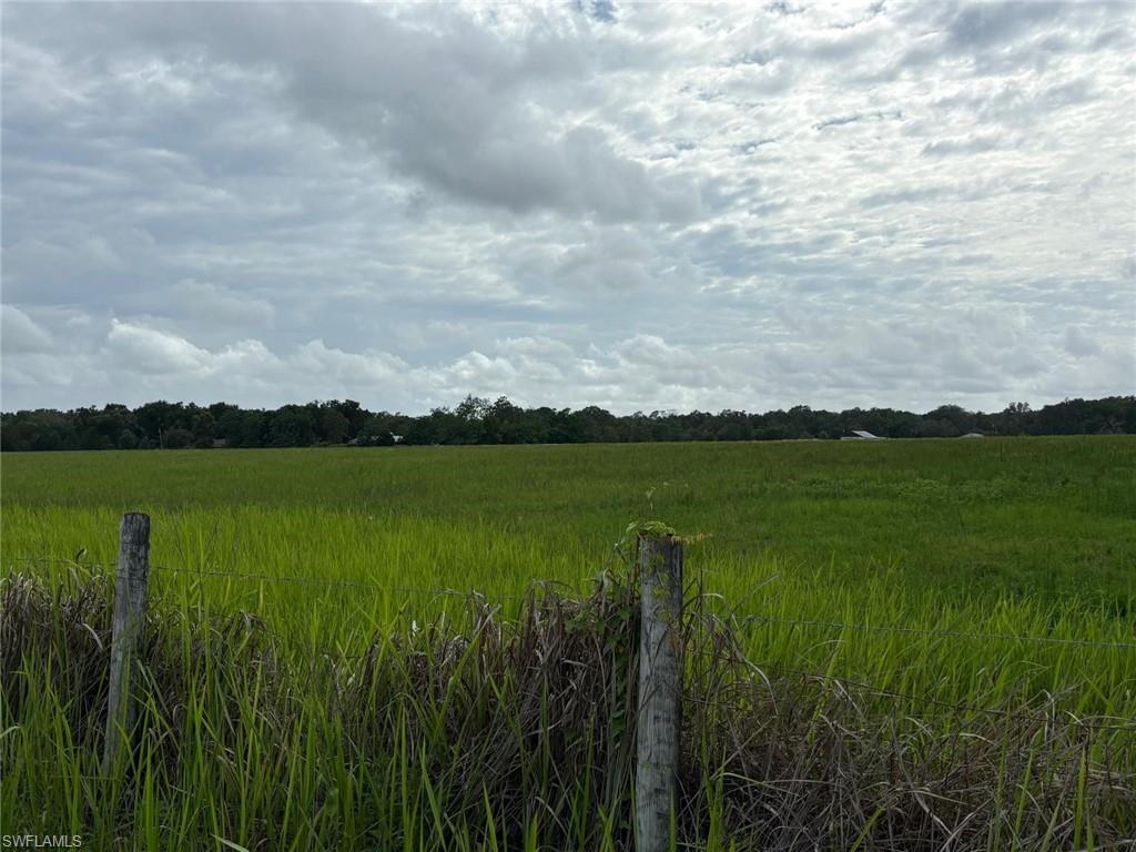 18139 Benes Roush Road Brooksville, FL 34604 - Photo 6 of 9
