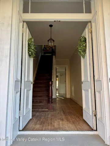 a view of a big yard with plants and large trees