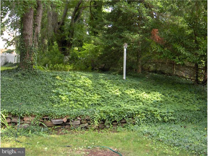 725 Pine Ridge Road Media, PA 19063 - Photo 13 of 13 Back Yard