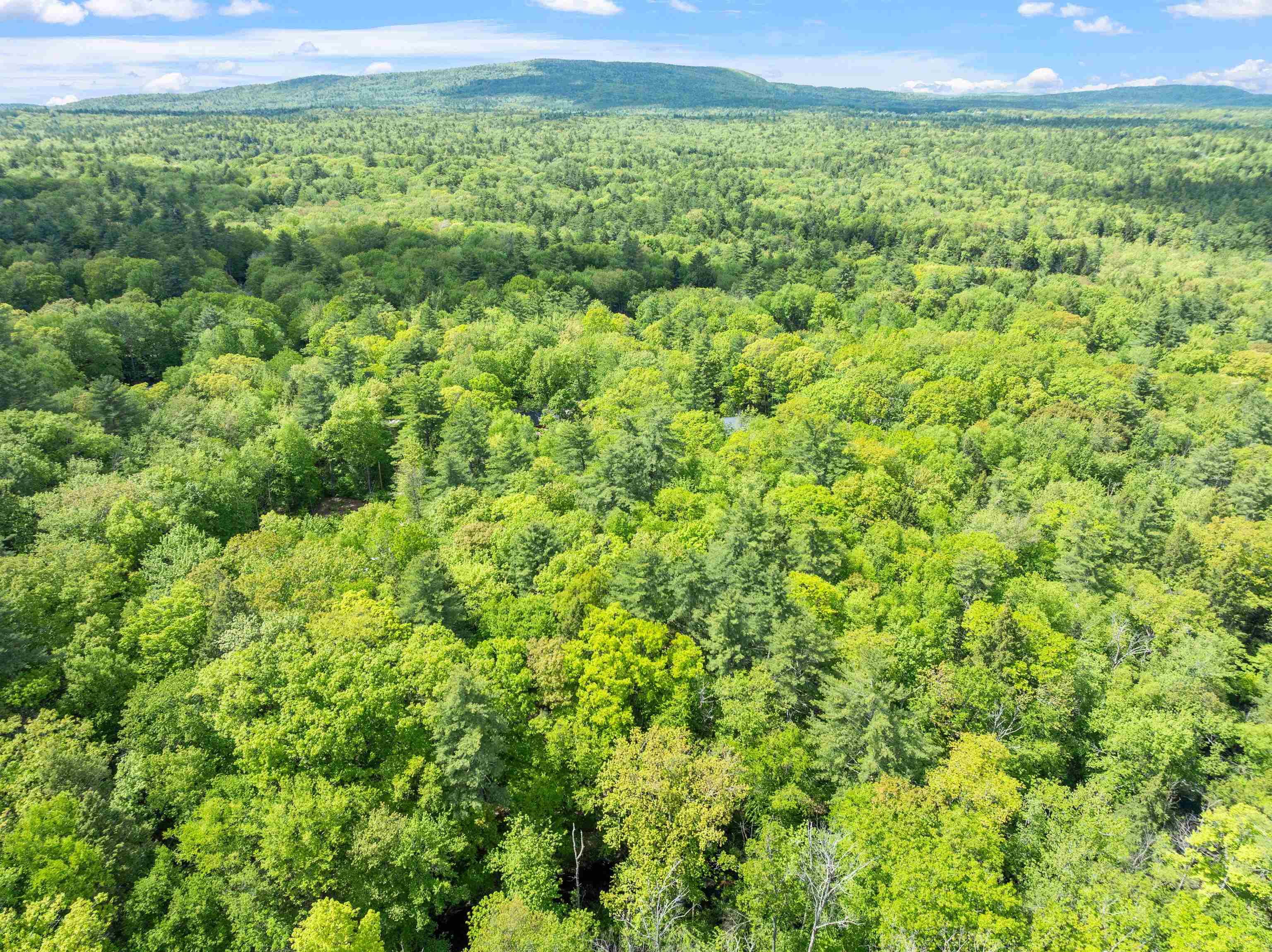 72 Beaver Road Strafford, NH 03884 - Photo 37 of 37