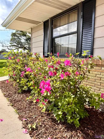 $235,000 | 213 Lake Palourde Road, Amelia, LA 70380