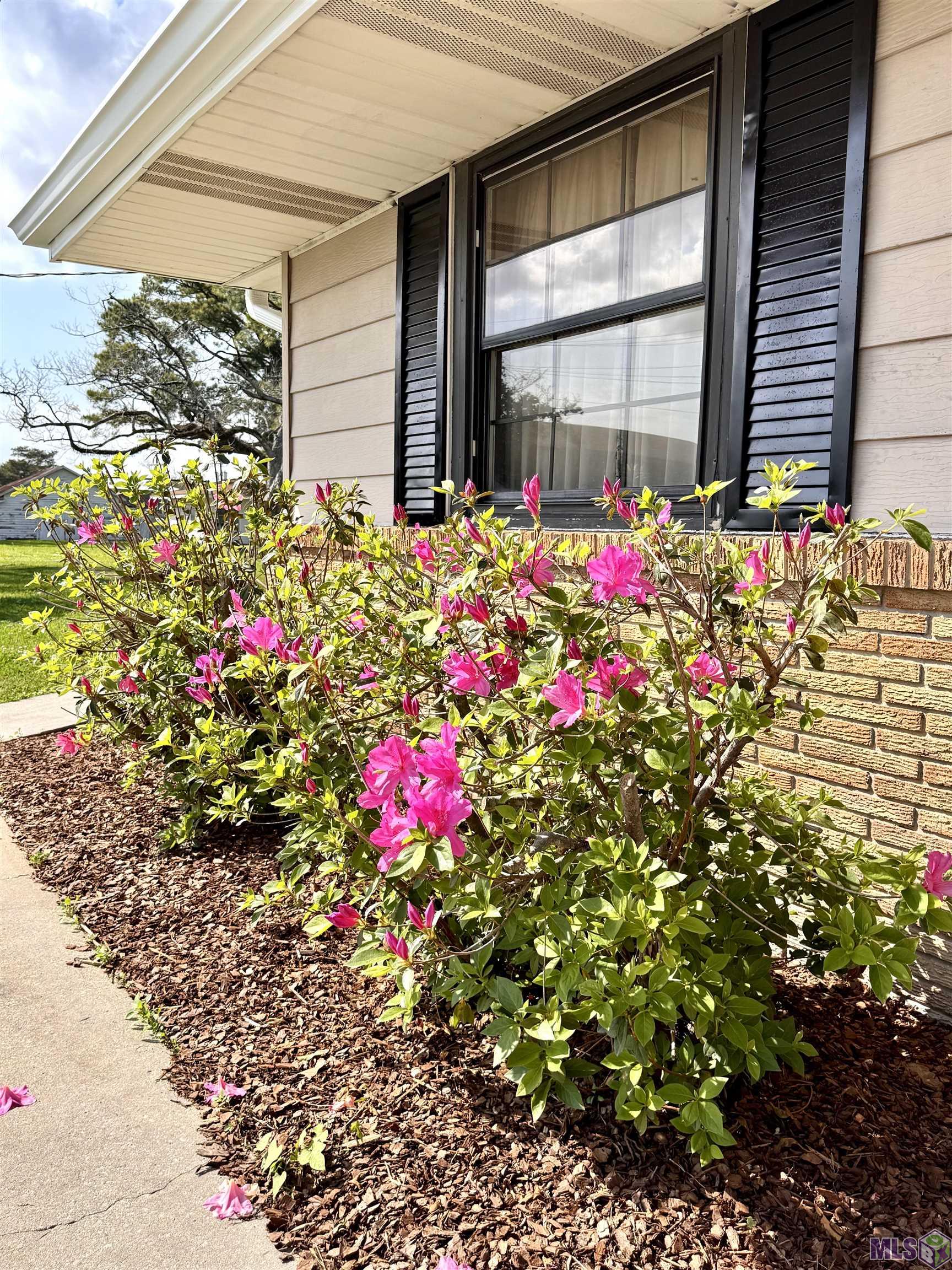 213 Lake Palourde Road Amelia, LA 70380 - Photo 8 of 42