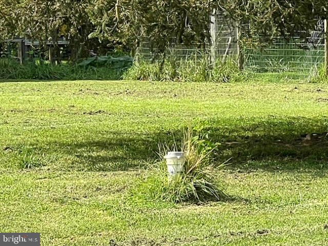 7224 Rock Hall Road Rock Hall, MD 21661 - Photo 9 of 12 a view of a garden