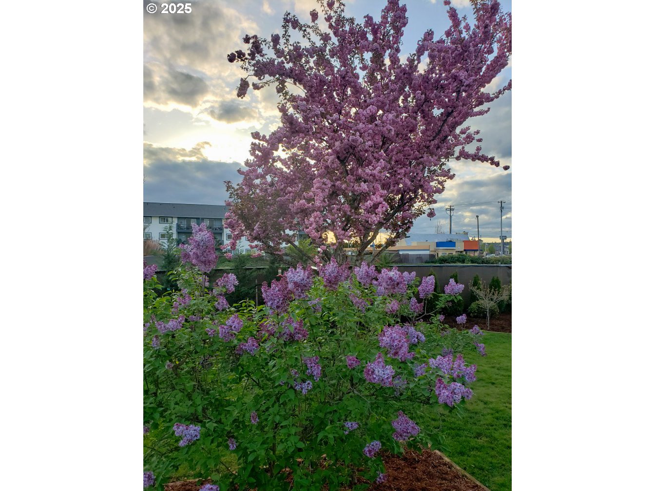 943 Oregon Way Woodburn, OR 97071 - Photo 38 of 48