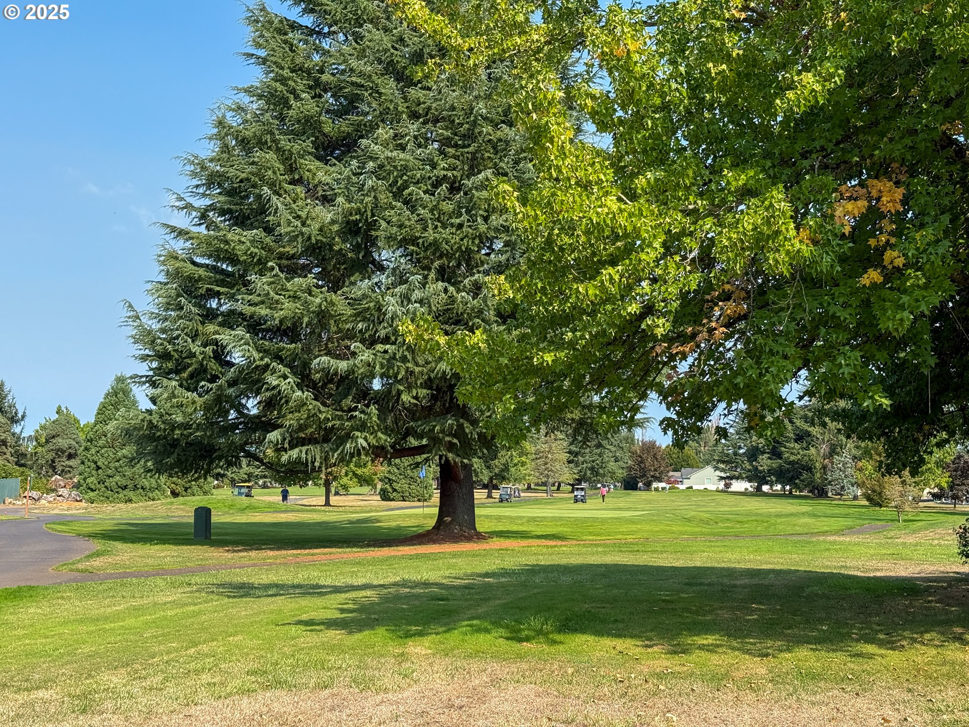 943 Oregon Way Woodburn, OR 97071 - Photo 42 of 48