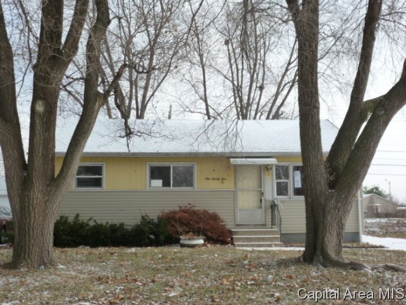 924 South Livingston Street Springfield, IL 62703 - Photo 1 of 11