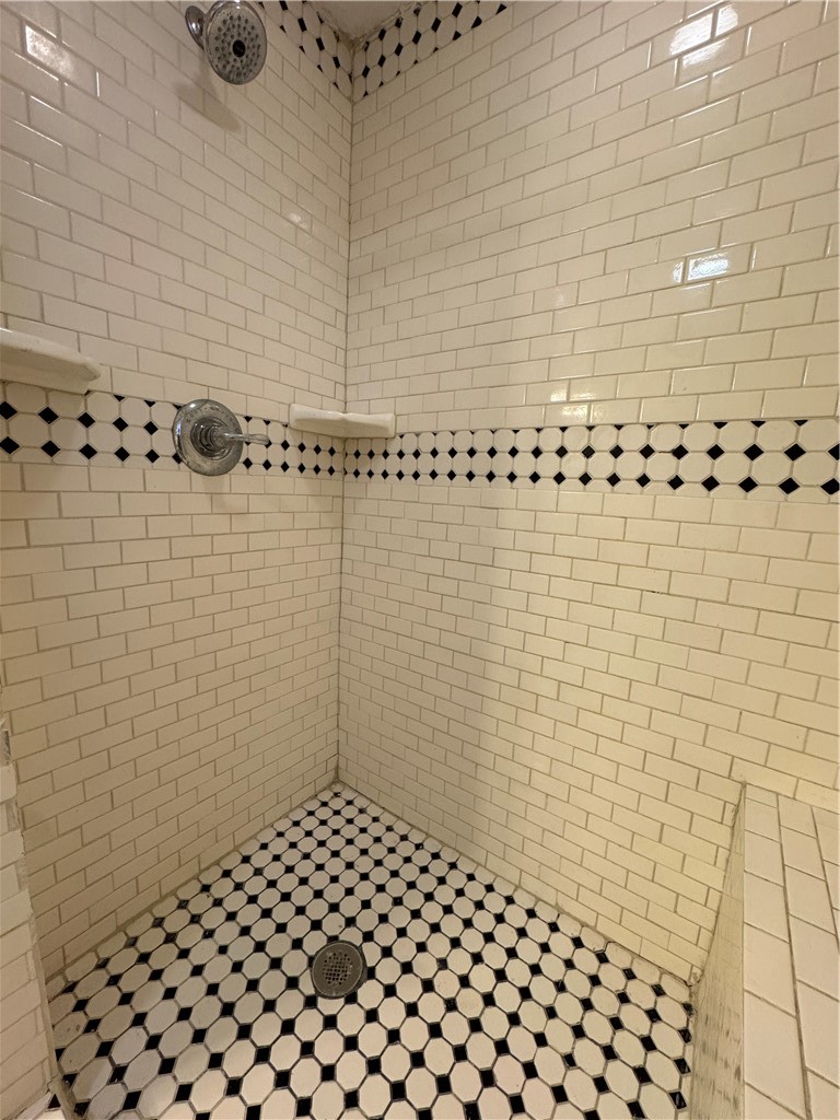 1773 Main Street Concepcion, TX 78349 - Photo 10 of 24 Shower in the casita