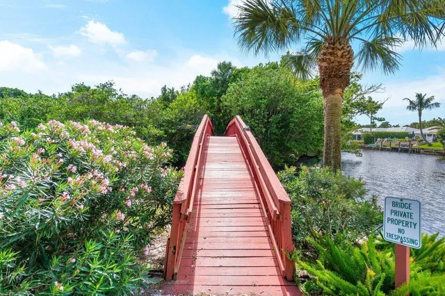 a view of a backyard with plants