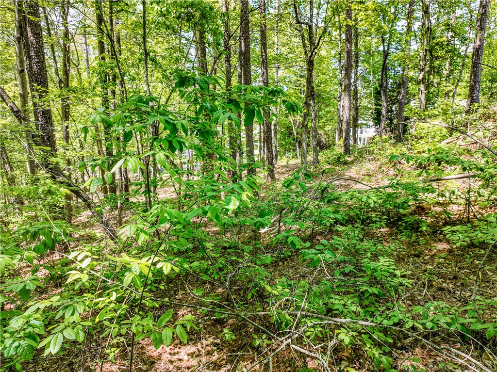 806 Bright Leaf Court Seneca, SC 29672 - Photo 17 of 32