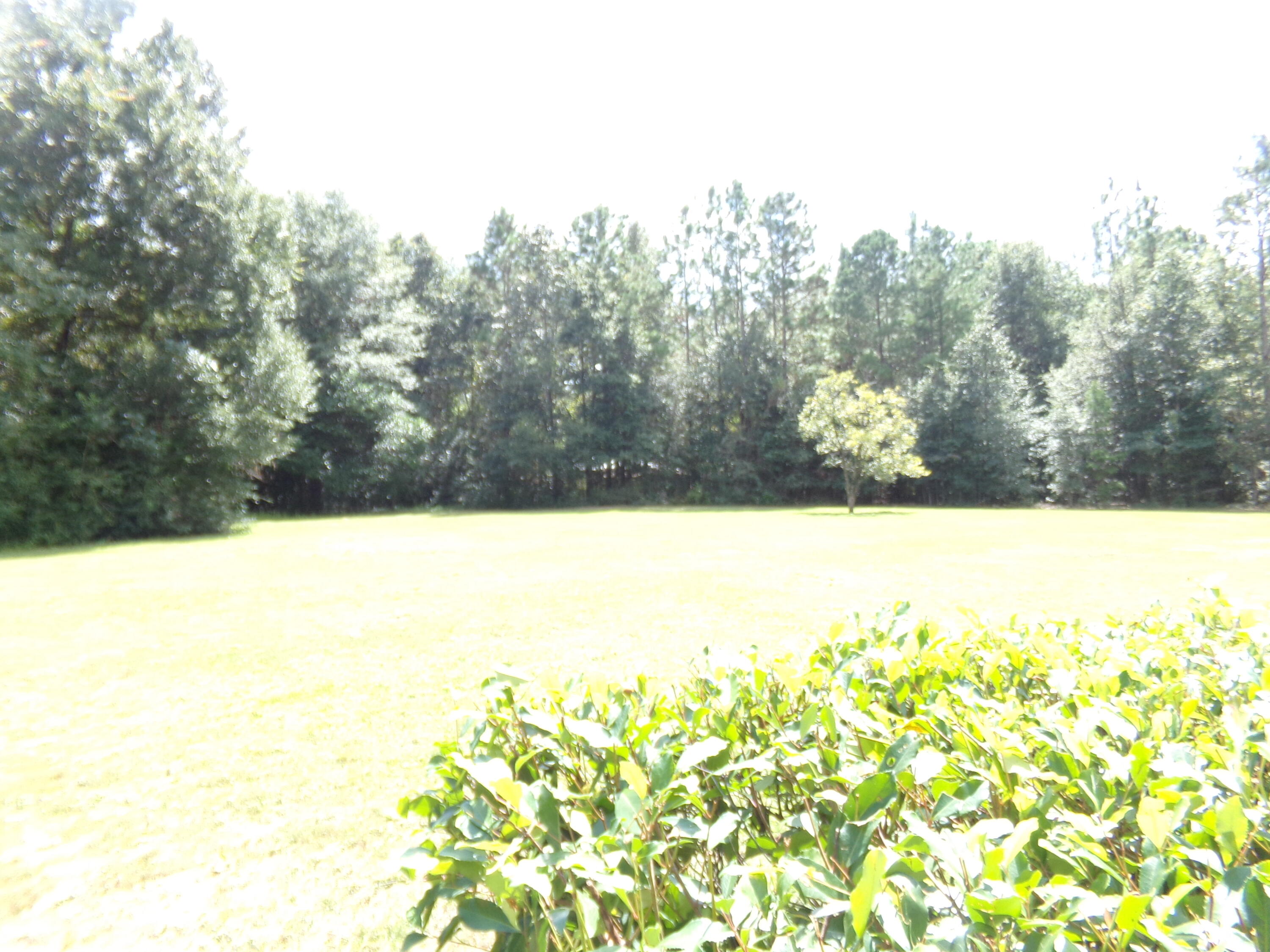 5918 Roberts Road Crestview, FL 32536 - Photo 5 of 24 Gallery Image 5