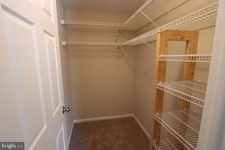 10149 Shelldrake Circle Damascus, MD 20872 - Photo 26 of 28 a bathroom with a window