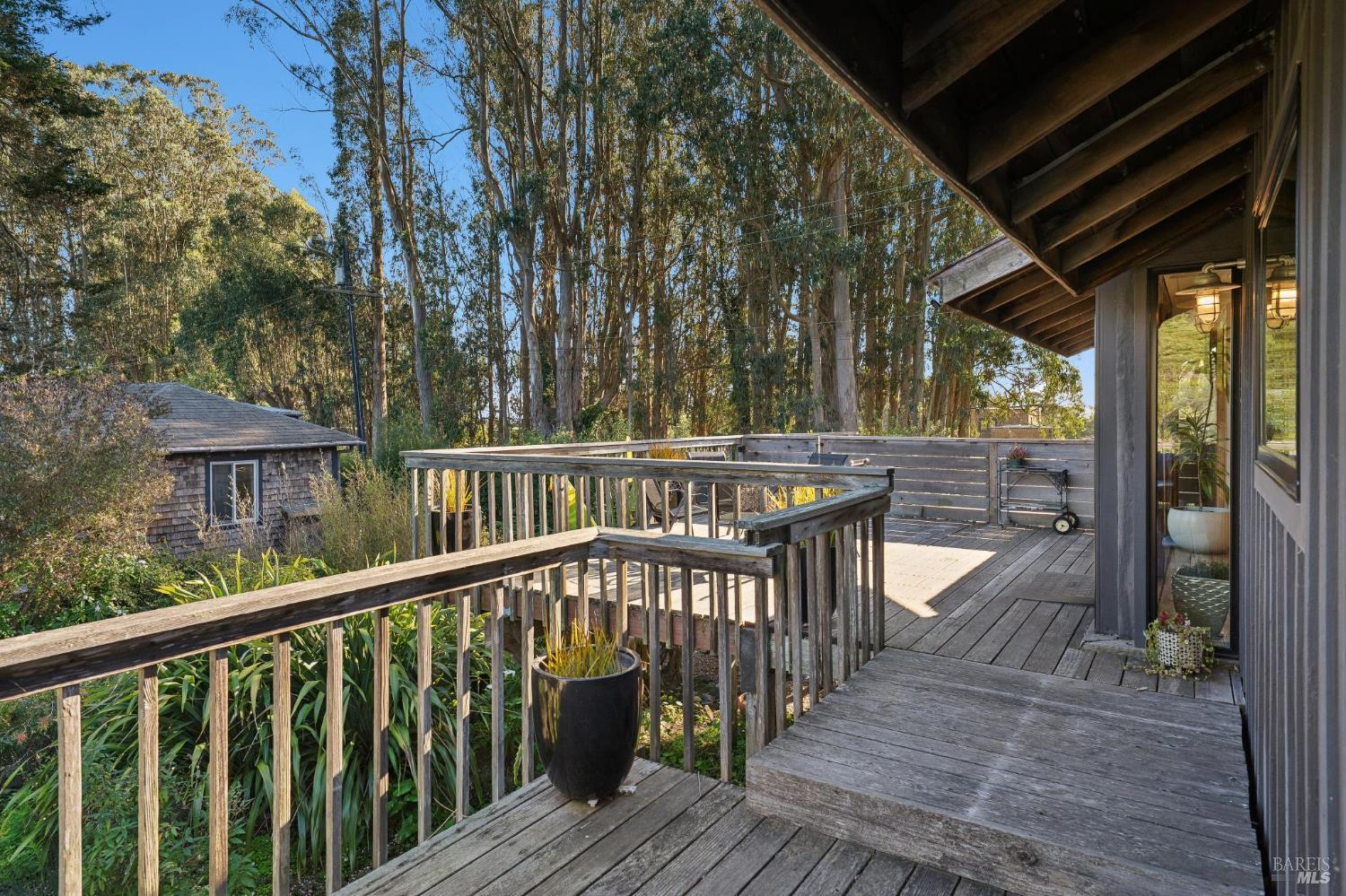 180 Maple Road Bolinas, CA 94924 - Photo 49 of 99