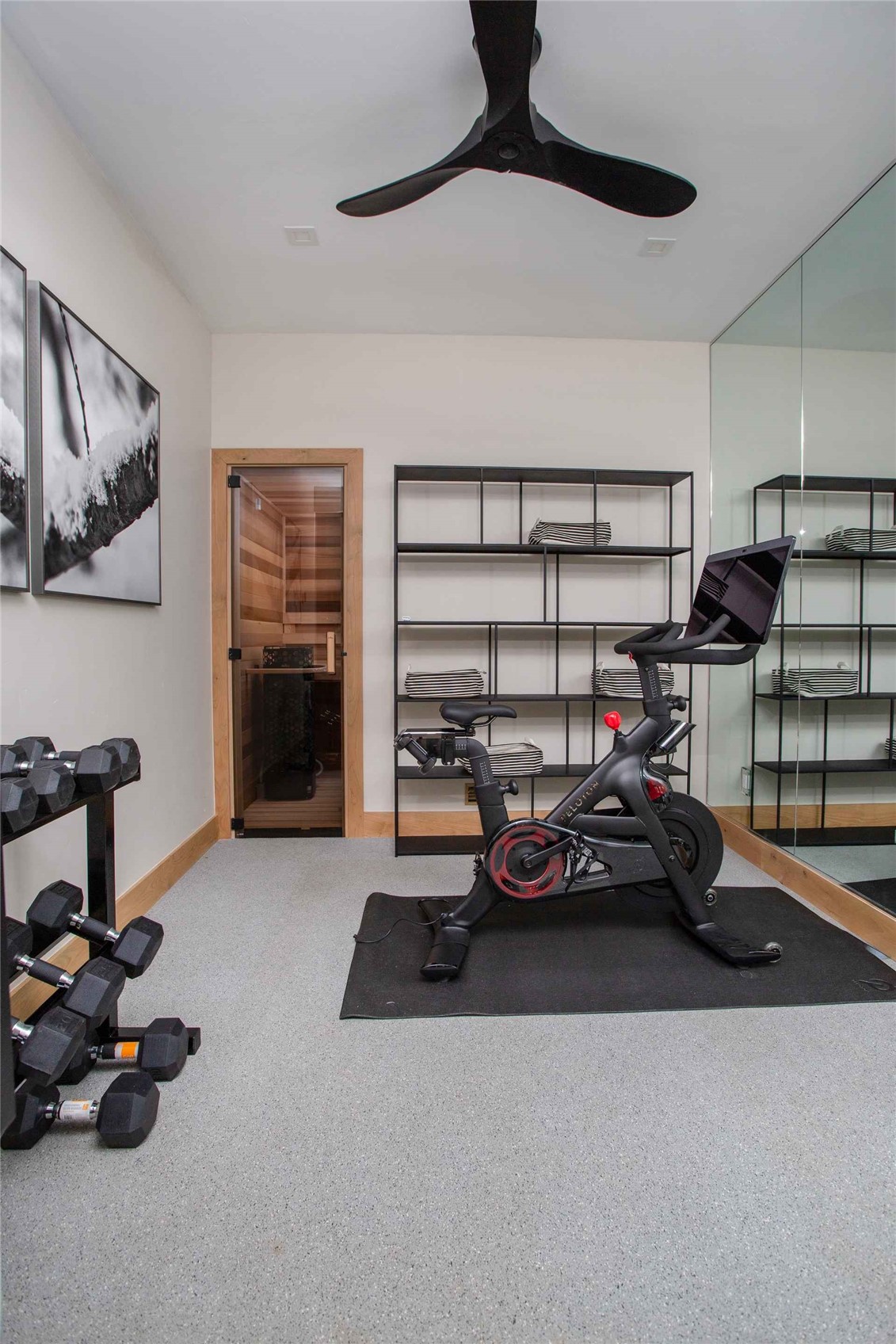 3764 Ski Hill Road Breckenridge, CO 80424 - Photo 22 of 30 Exercise room featuring a ceiling fan and carpet flooring