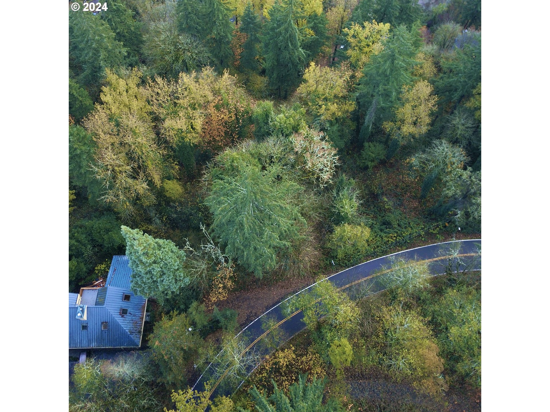 9843 Northwest Germantown Road, Unit E Portland, OR 97231 - Photo 5 of 14 a view of a yard with plants and a small yard
