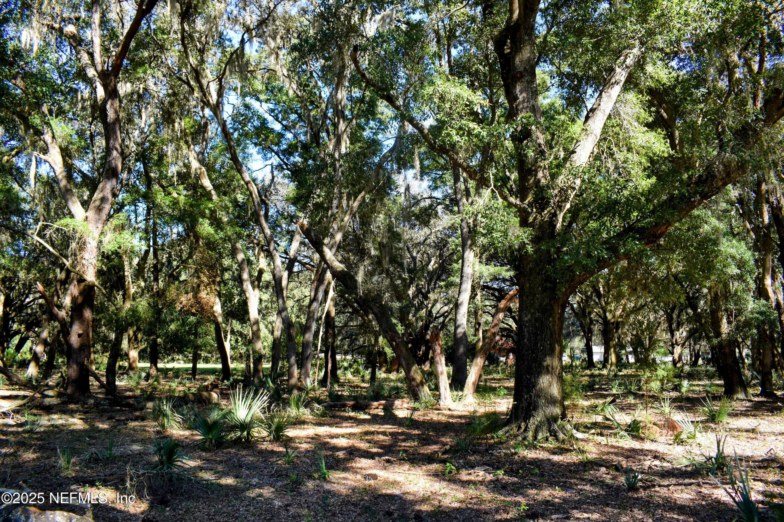0 West Peniel Road Palatka, FL 32177 - Photo 11 of 40 a view of outdoor space with trees