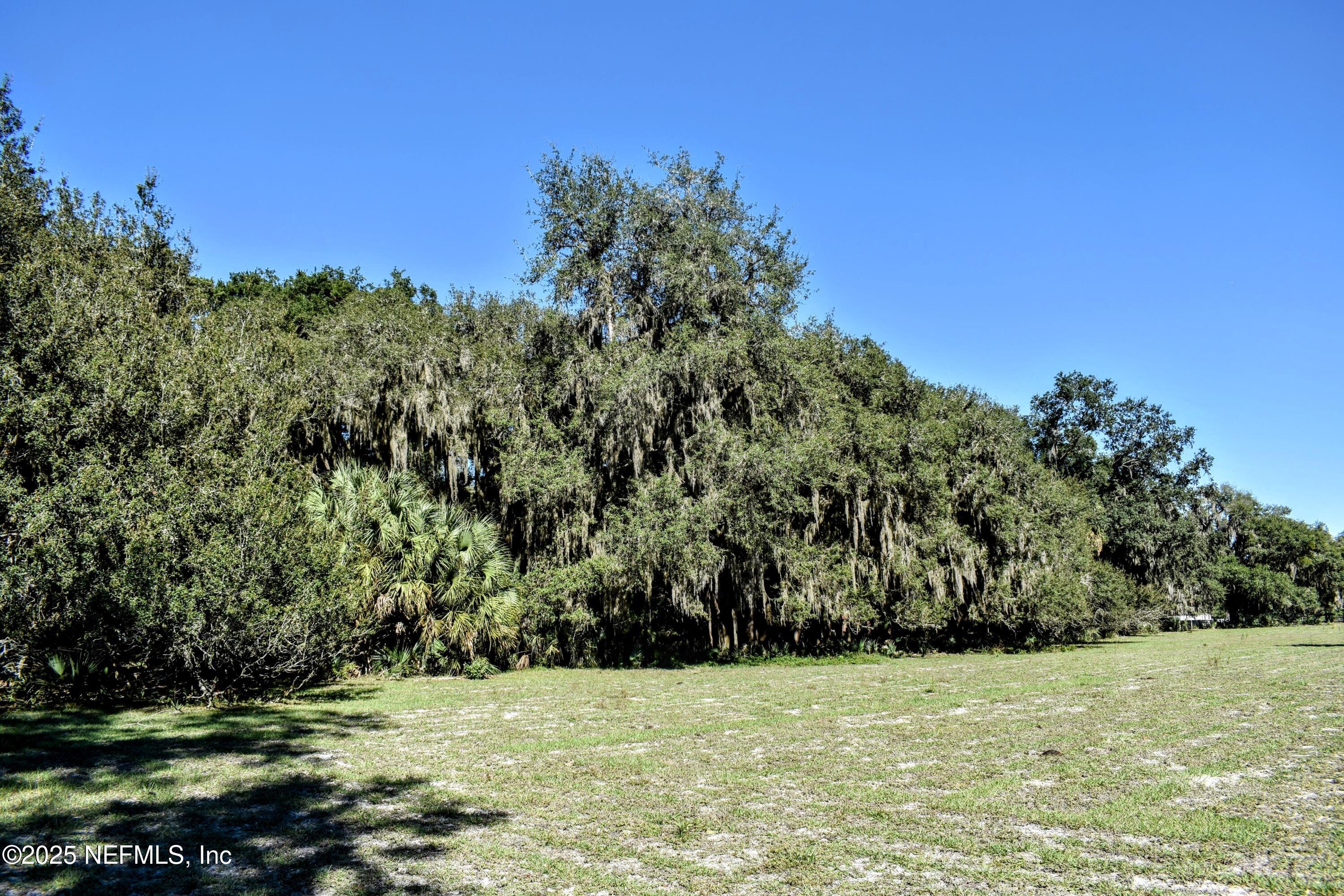 0 West Peniel Road Palatka, FL 32177 - Photo 25 of 40 a view of a grassy area with an trees