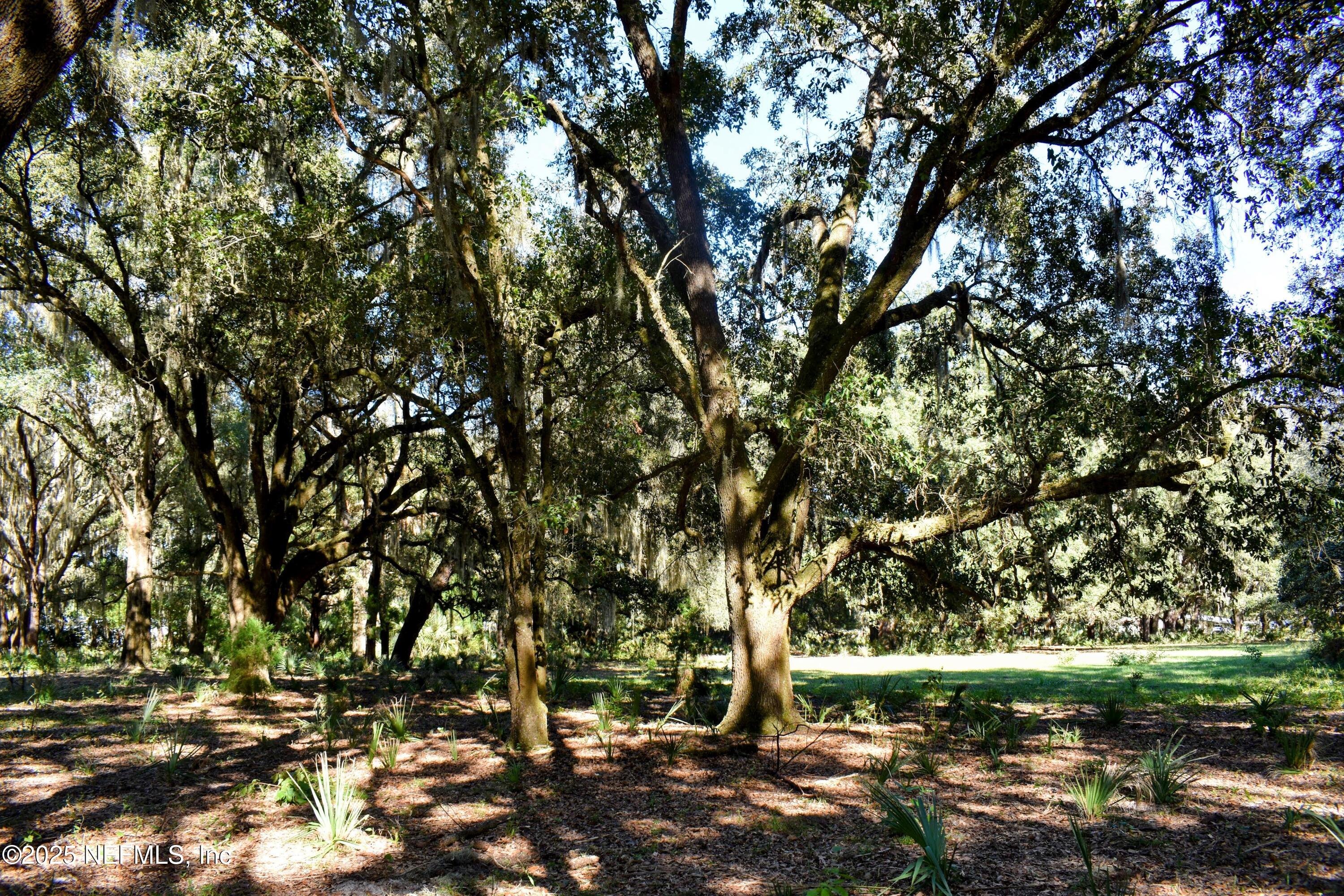 0 West Peniel Road Palatka, FL 32177 - Photo 26 of 40 a backyard of a house with a tree