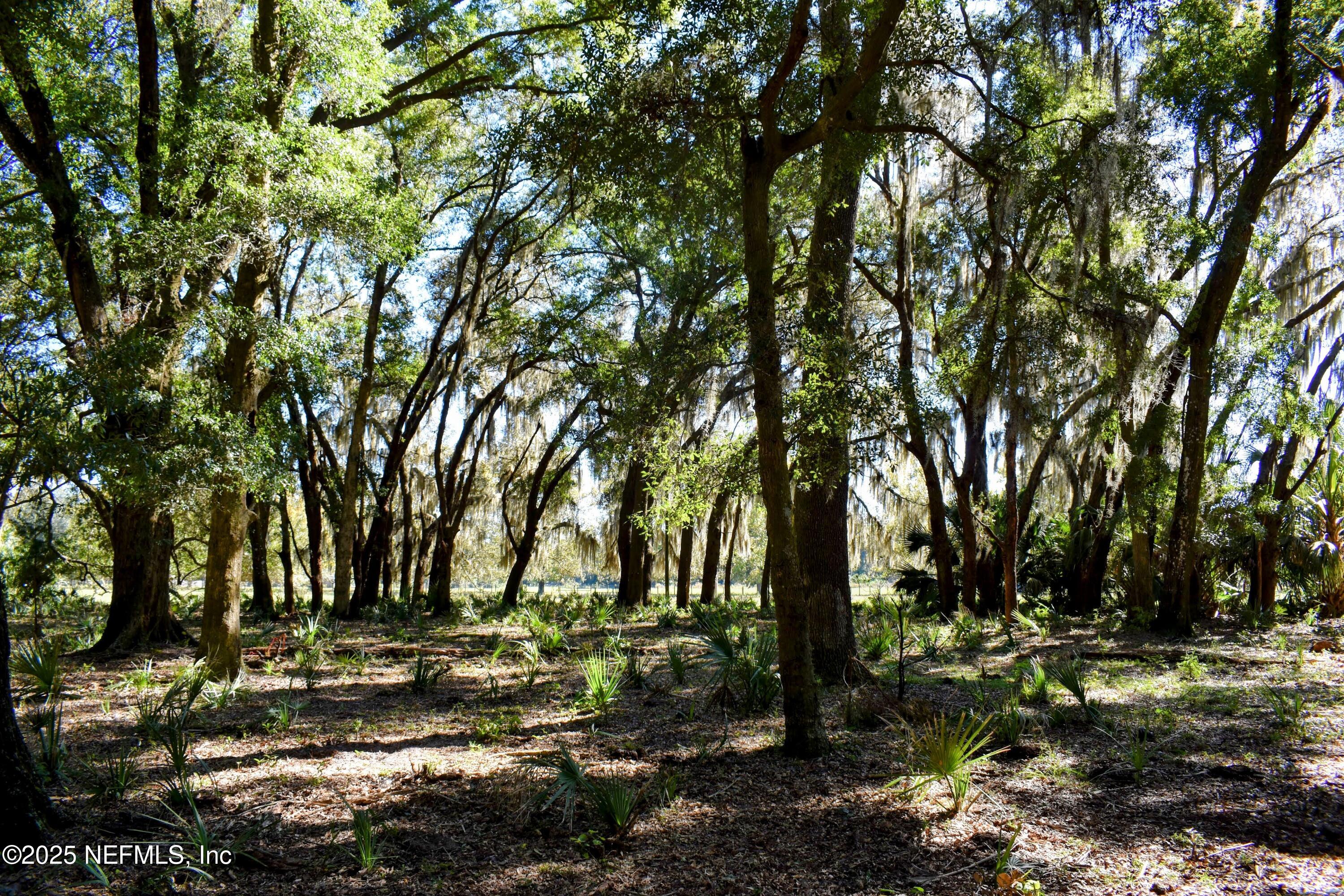 0 West Peniel Road Palatka, FL 32177 - Photo 28 of 40 a view of backyard with green space
