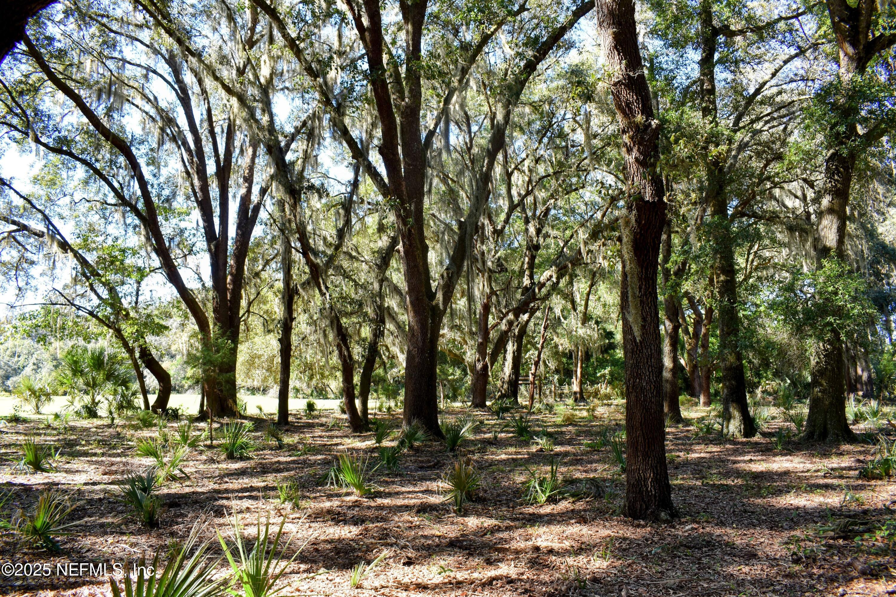 0 West Peniel Road Palatka, FL 32177 - Photo 29 of 40 a view of outdoor space with lots of trees