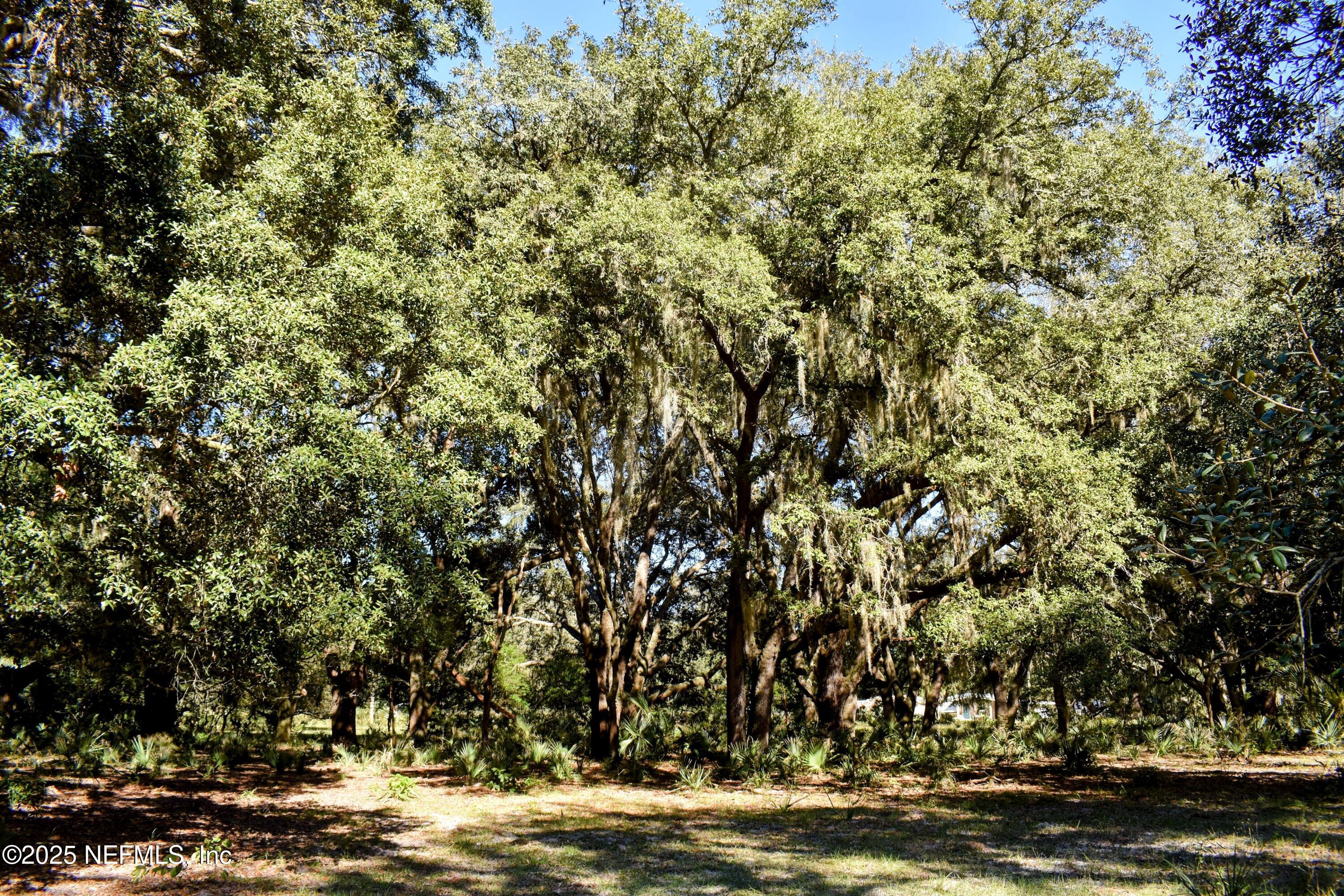 0 West Peniel Road Palatka, FL 32177 - Photo 31 of 40