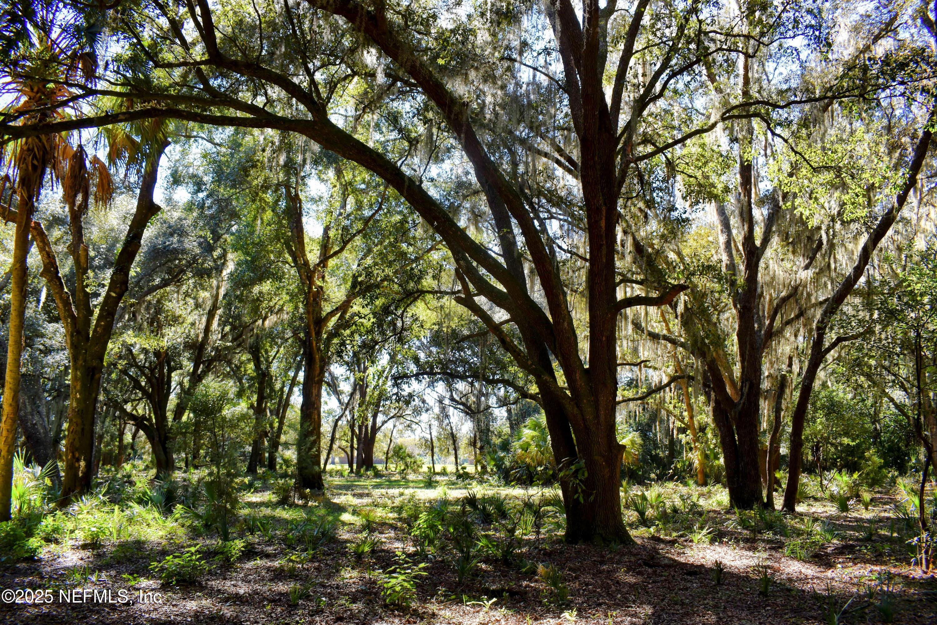 0 West Peniel Road Palatka, FL 32177 - Photo 35 of 40 a backyard of a house with lots of green space