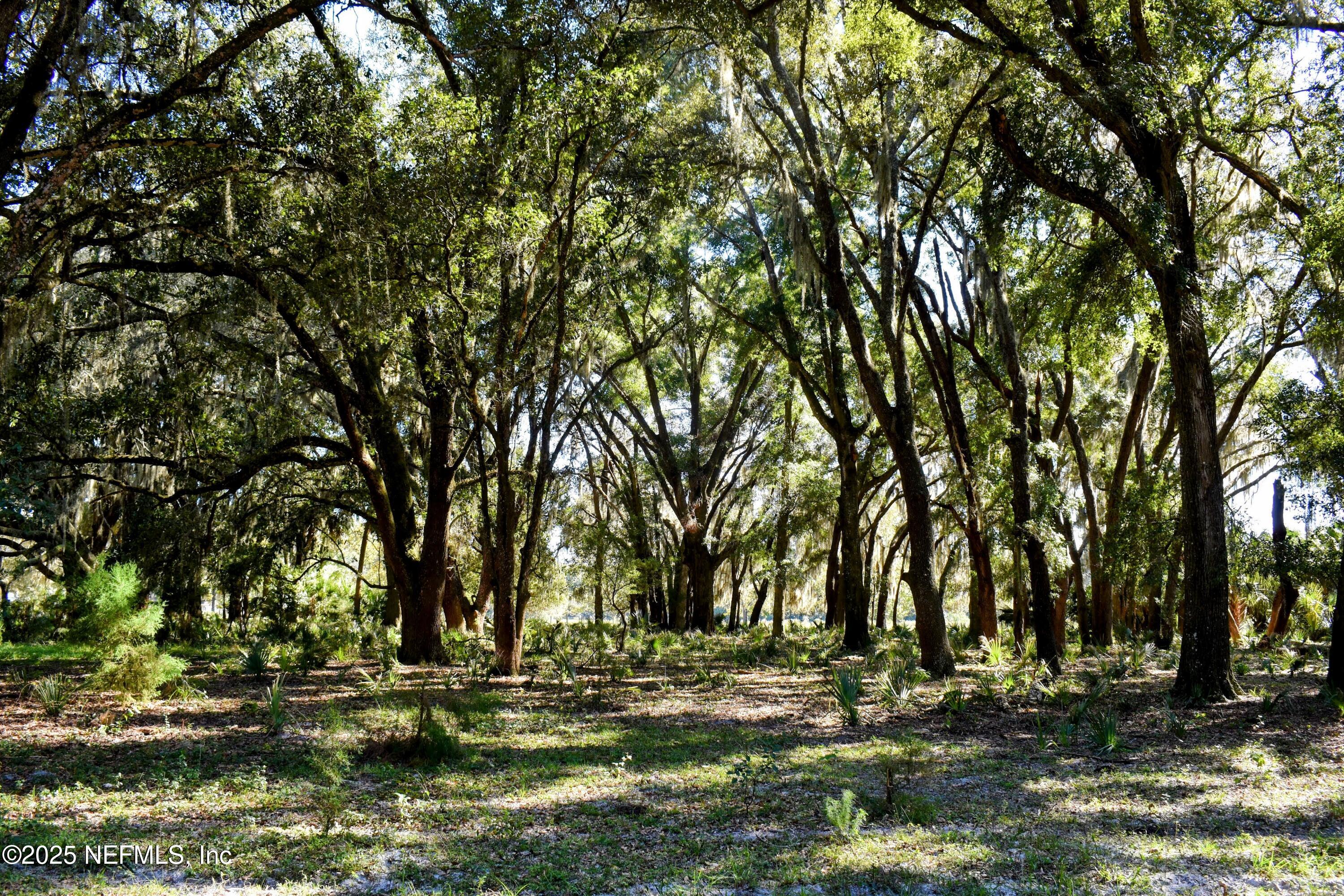 0 West Peniel Road Palatka, FL 32177 - Photo 36 of 40 a backyard of a house with lots of green space