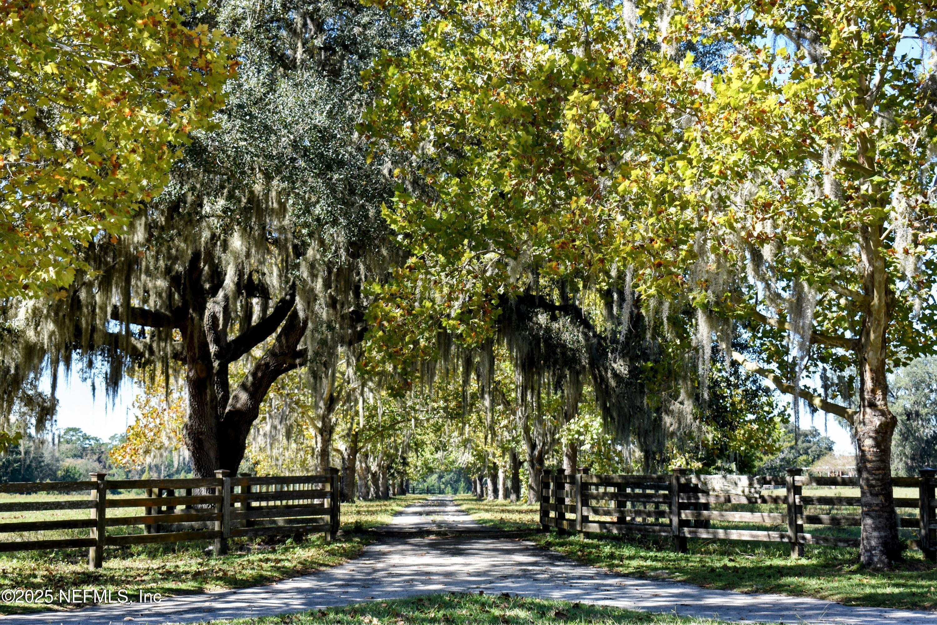 0 West Peniel Road Palatka, FL 32177 - Photo 4 of 40 a view of backyard with green space