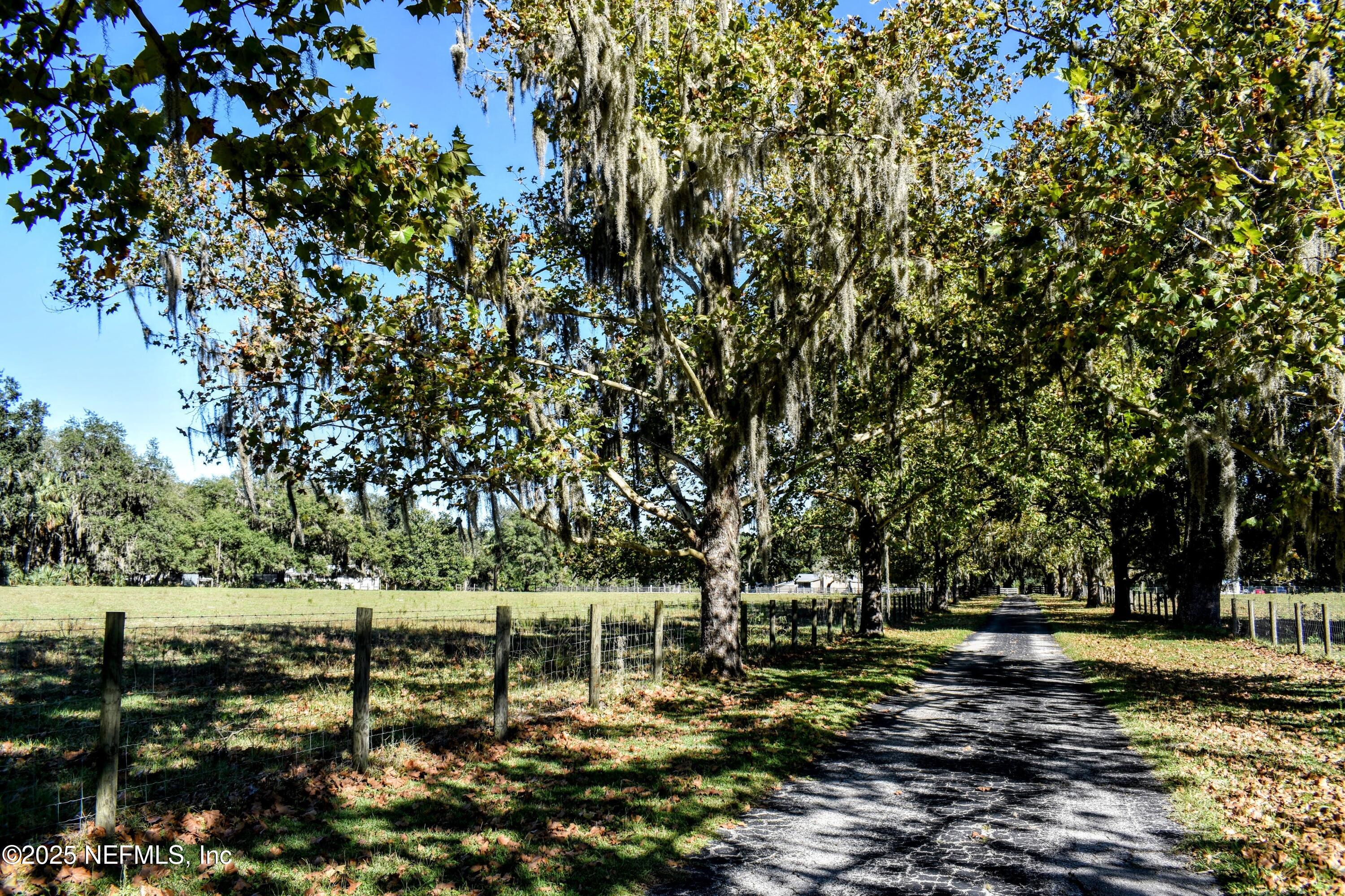 0 West Peniel Road Palatka, FL 32177 - Photo 5 of 40 a view of a park with large trees