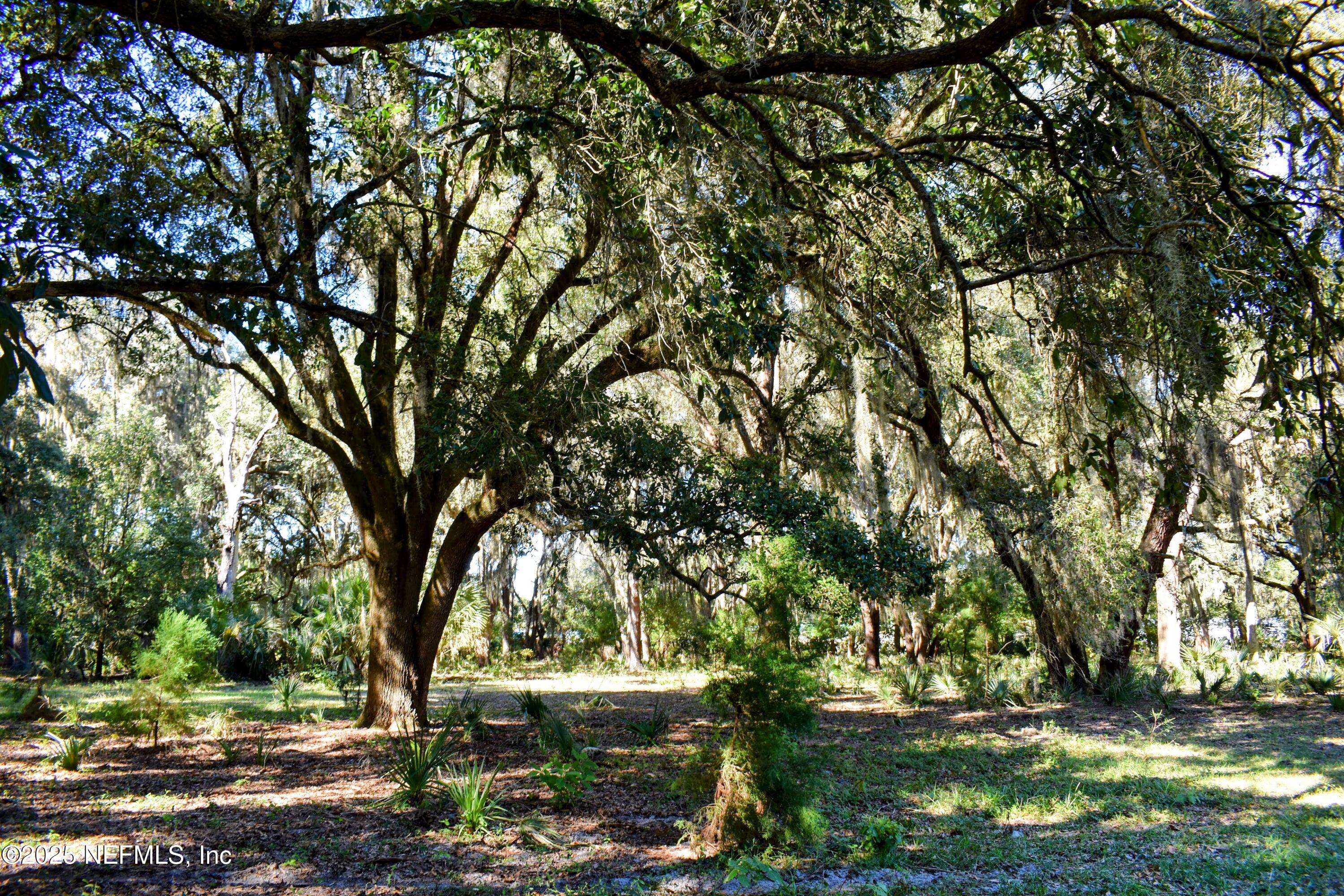 0 West Peniel Road Palatka, FL 32177 - Photo 9 of 40 a view of outdoor space with deck and tree