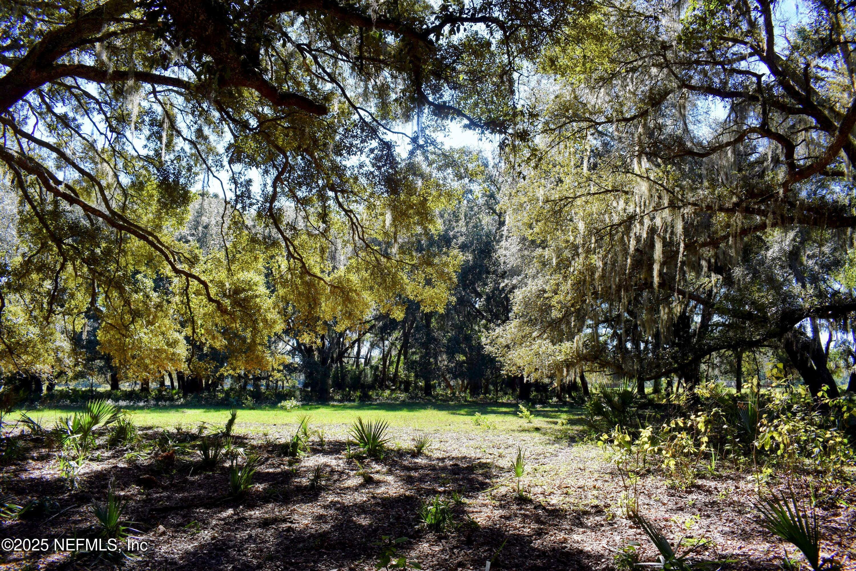 0 West Peniel Road Palatka, FL 32177 - Photo 10 of 40 a view of a street with a tree