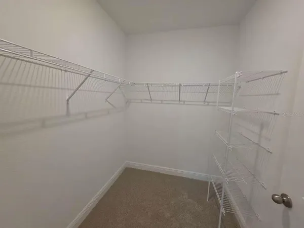 $3,960 | 2212 Sienna Spruce Street, Wesley Chapel, FL 33543