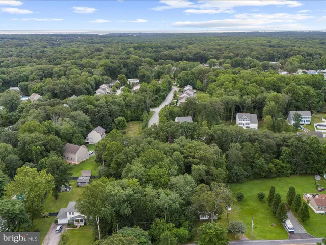 a view of a city with lush green forest