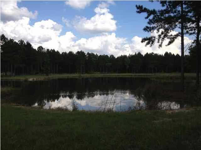 12 Blackberry Creek Road, Unit 12 Madison, MS 39110 - Photo 2 of 8 Photo 2