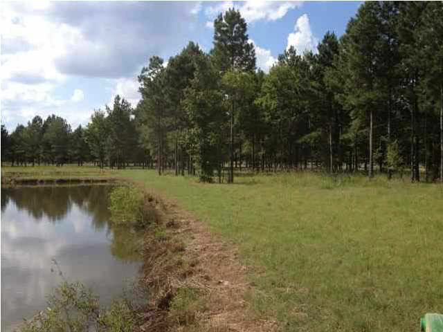 12 Blackberry Creek Road, Unit 12 Madison, MS 39110 - Photo 3 of 8 Photo 3