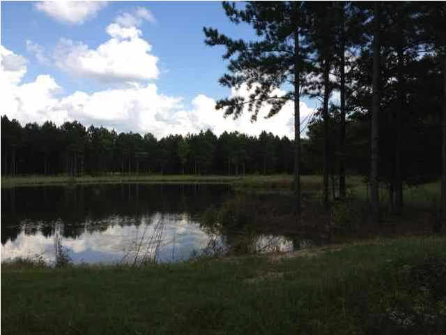 12 Blackberry Creek Road, Unit 12 Madison, MS 39110 - Photo 5 of 8 Photo 5