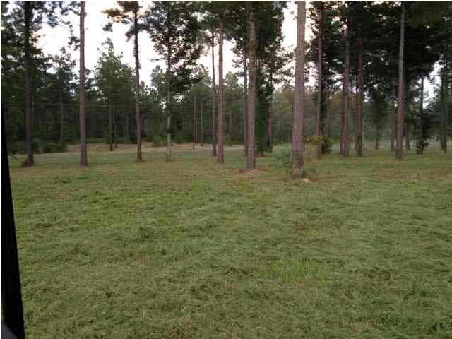 12 Blackberry Creek Road, Unit 12 Madison, MS 39110 - Photo 8 of 8 Photo 8