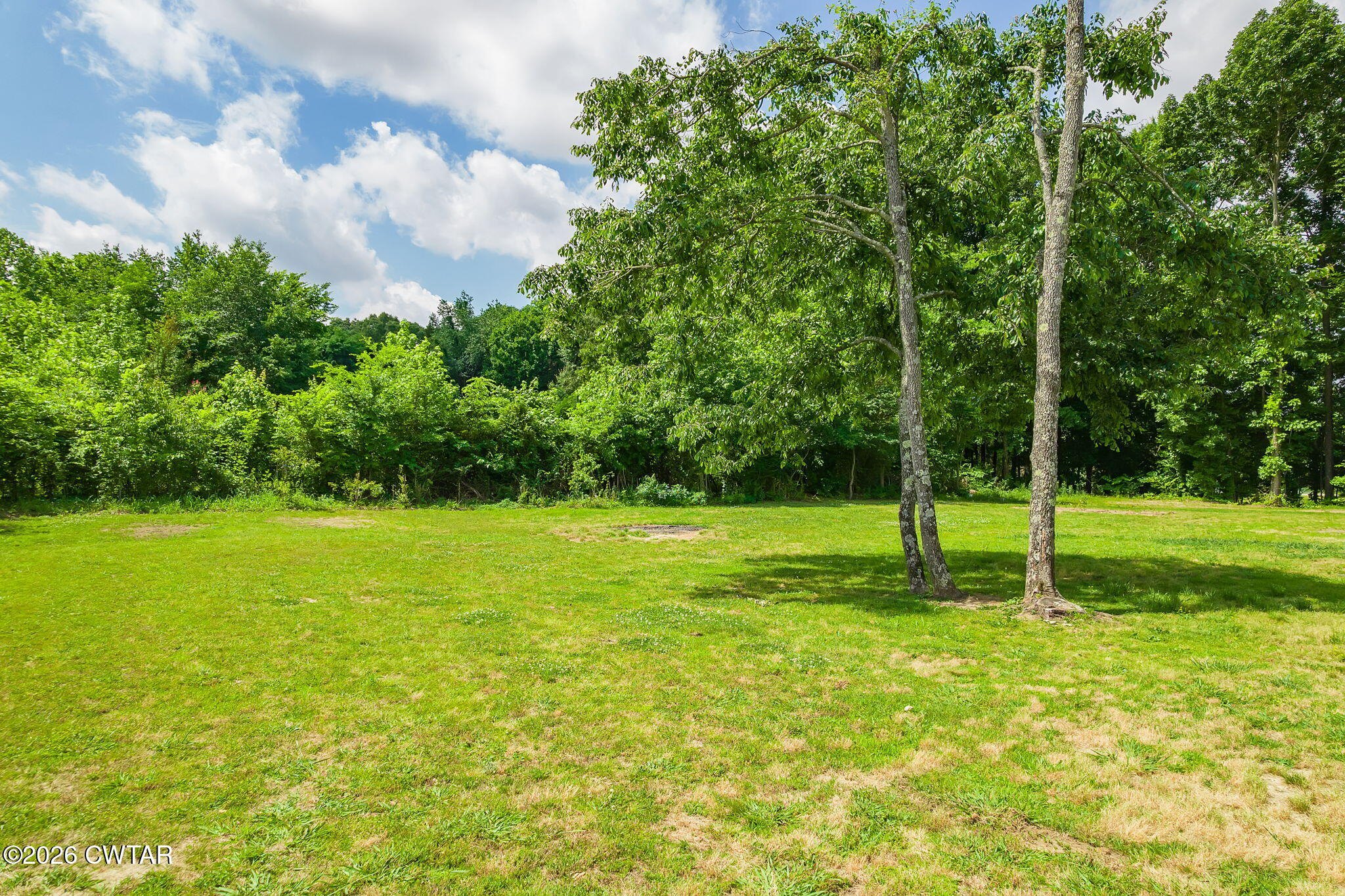 306 Jim Jackson Road Humboldt, TN 38343 - Photo 26 of 29 a view of a trees with a park