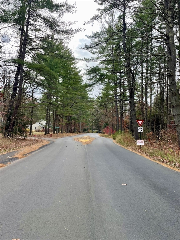 0 Heatherstone Road Amherst, MA 01002 - Photo 9 of 9 a view of road with trees