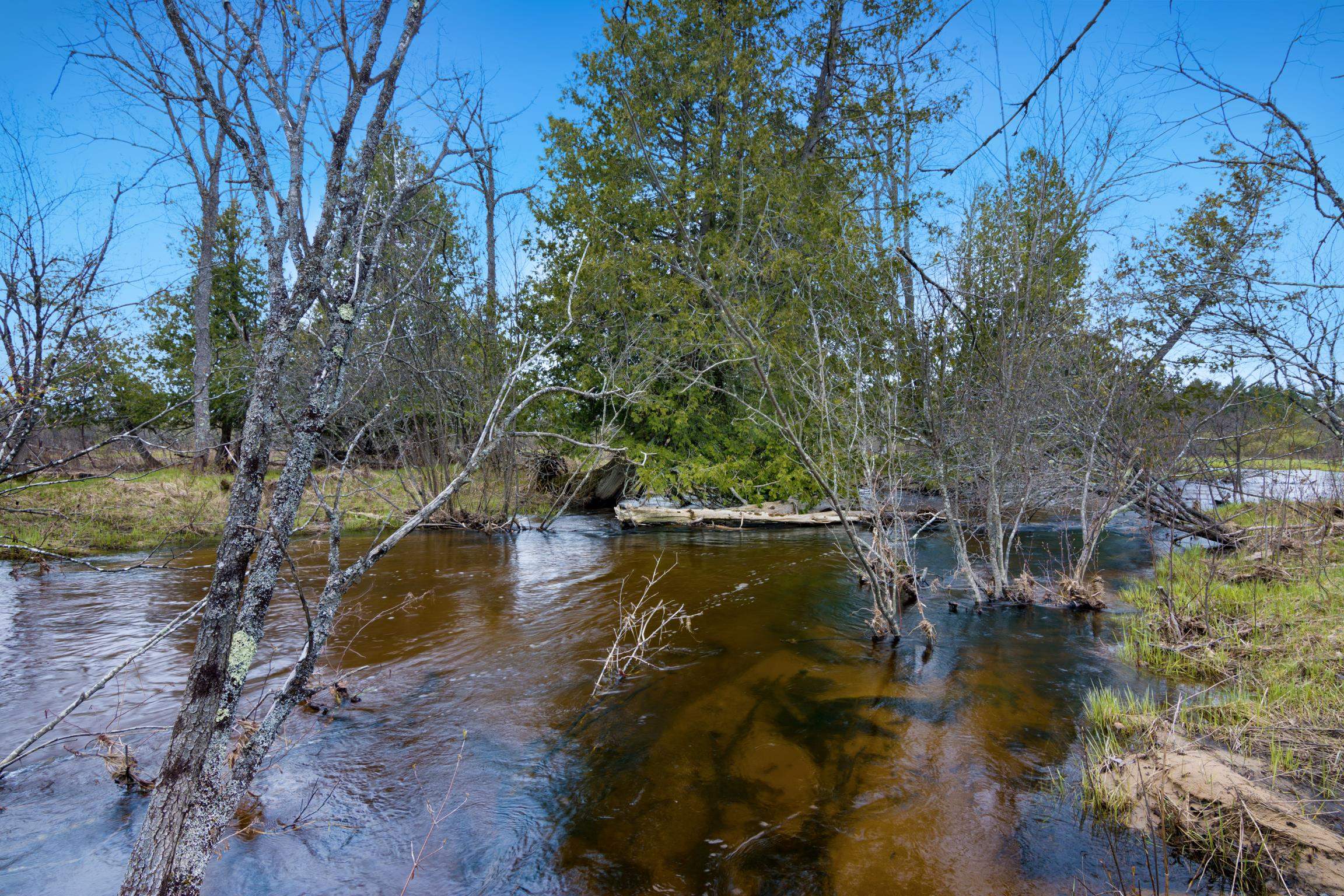 7578 South River Road Kalkaska, MI 49646 - Photo 28 of 32