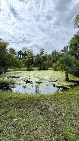 a view of outdoor space and yard